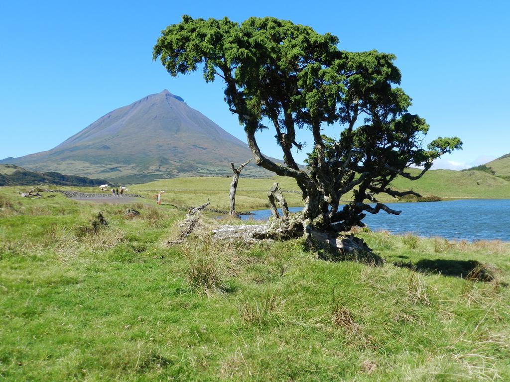 Adega Pedra Do Lagar Villa Calheta de Nesquim Buitenkant foto